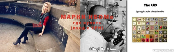 ПСИЛОЦИБИНОВЫЕ ГРИБЫ Аркадак