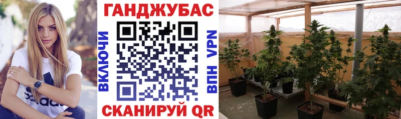 купить  сайты  Урус-Мартан  Шишки марихуана VHQ 